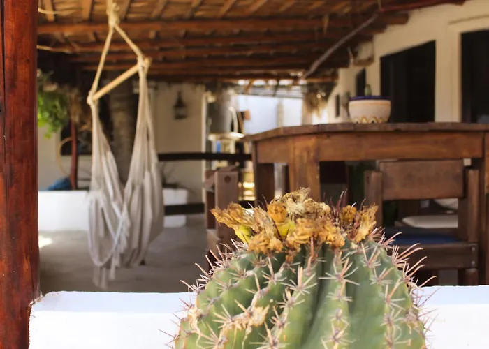 Rustico Lounge-property In Front Of The Сasa de vacaciones San José del Cabo